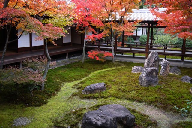 写真：建仁寺